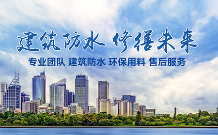 專業(yè)家庭防水補漏